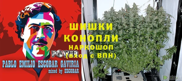 гидра Алексеевка