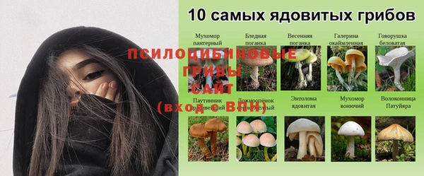 гидра Алексеевка
