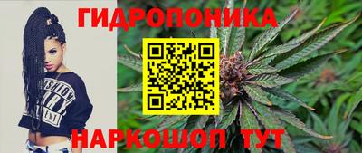mdpv Краснознаменск