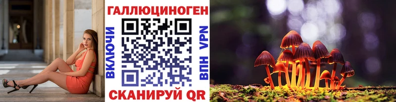 Галлюциногенные грибы GOLDEN TEACHER  продажа наркотиков  hydra зеркало  Казань 