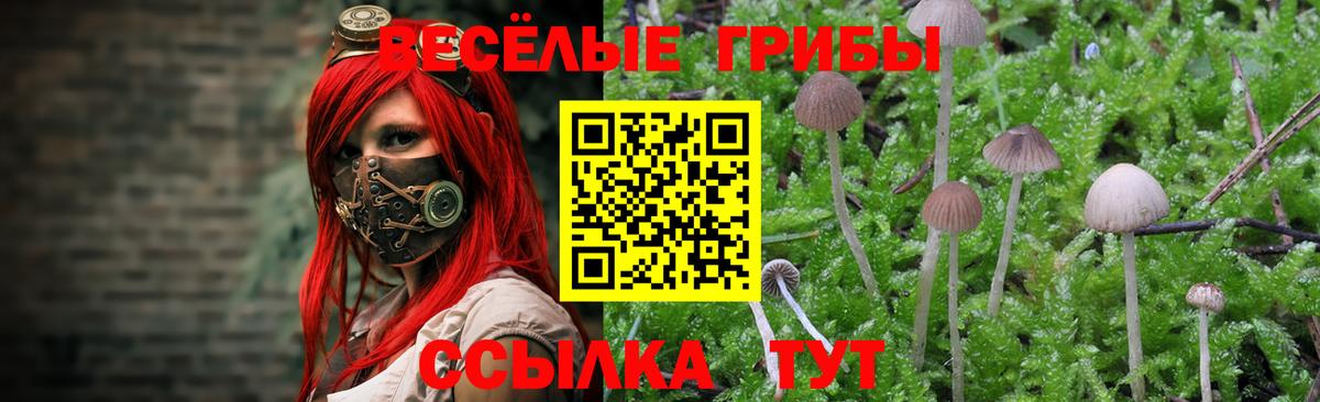 Галлюциногенные грибы MAGIC MUSHROOMS Казань